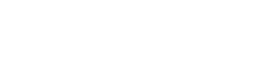 First Avenir
